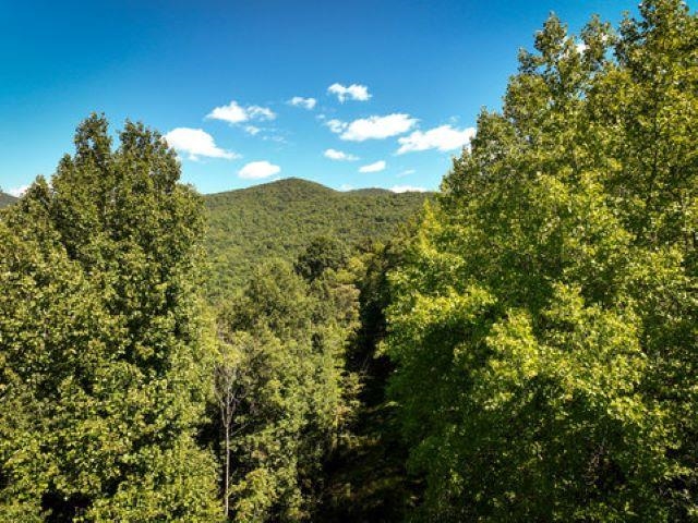 TBD OVERLOOK MOUNTAIN RD