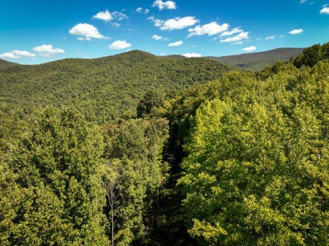 TBD OVERLOOK MOUNTAIN RD