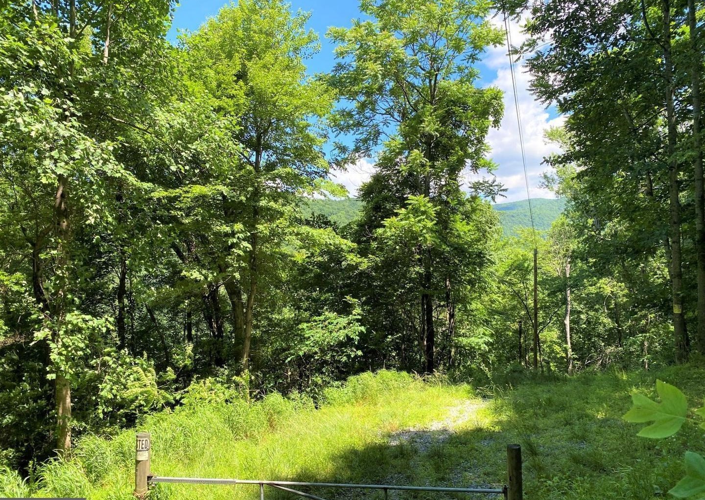 TBD OVERLOOK MOUNTAIN RD