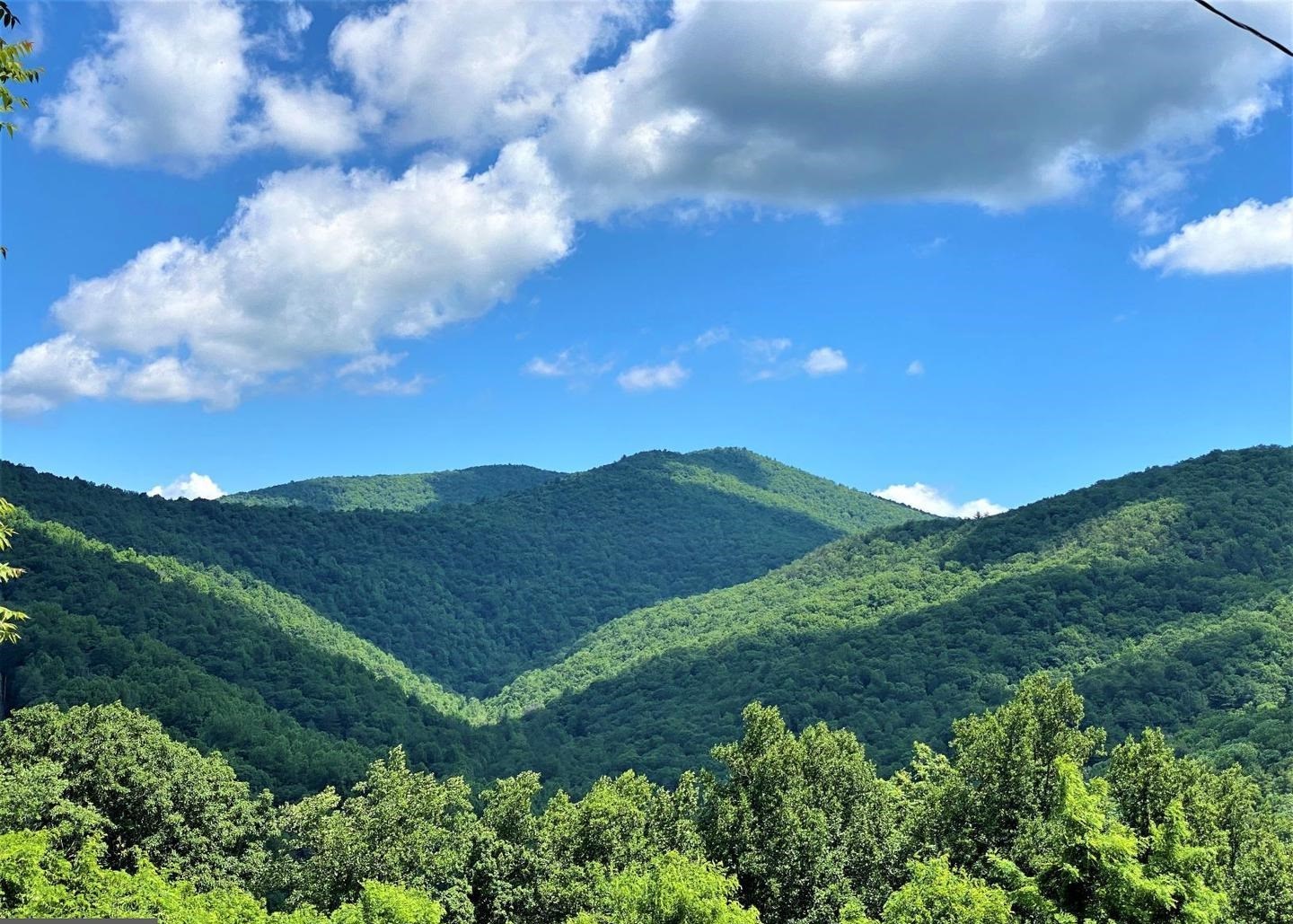 TBD OVERLOOK MOUNTAIN RD