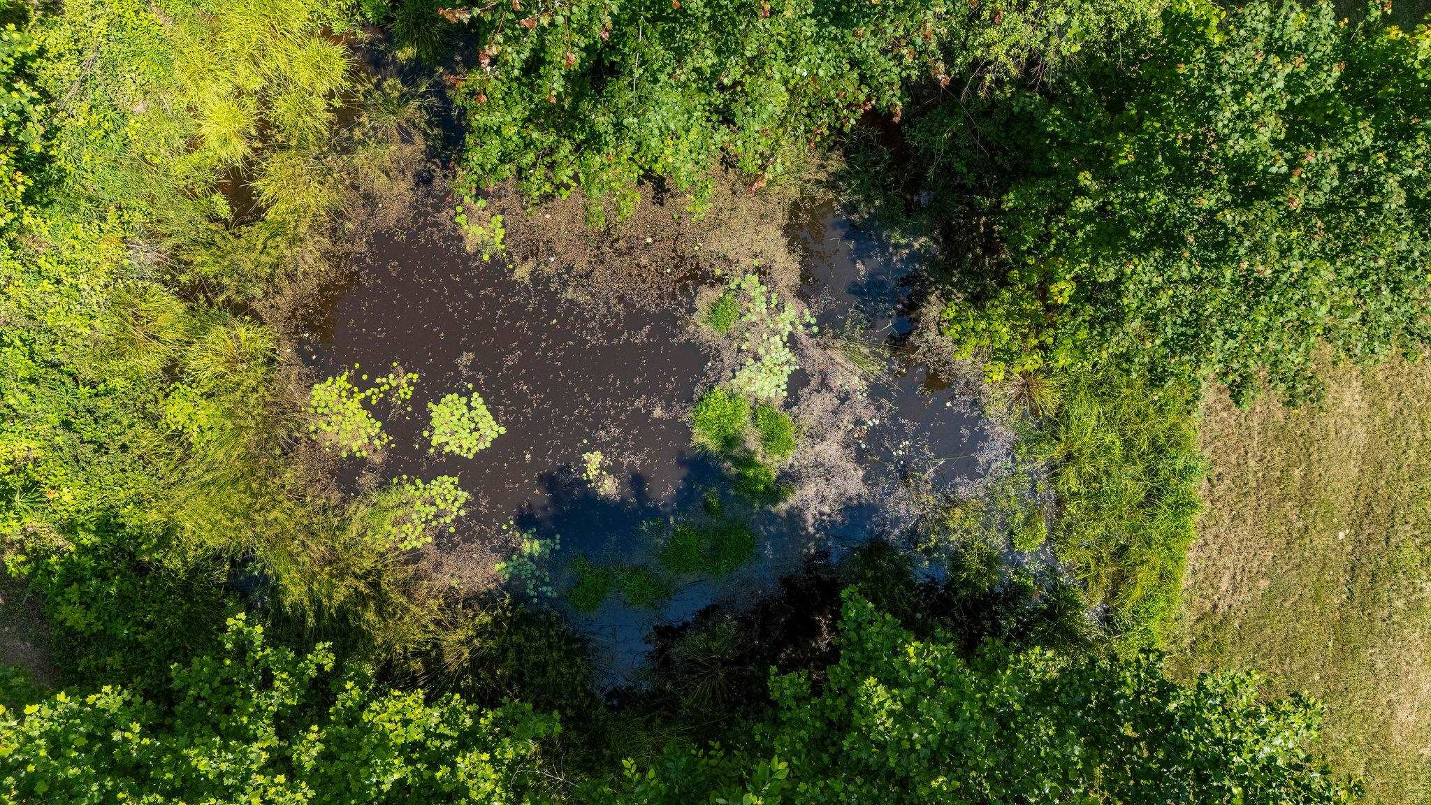 2003 RINACAS CORNER RD