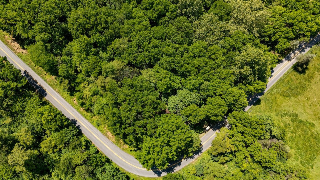 2410 MAUZY ATHLONE RD