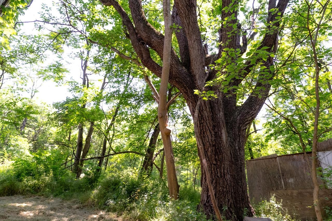 2410 MAUZY ATHLONE RD