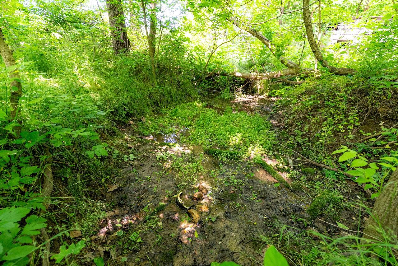 2410 MAUZY ATHLONE RD