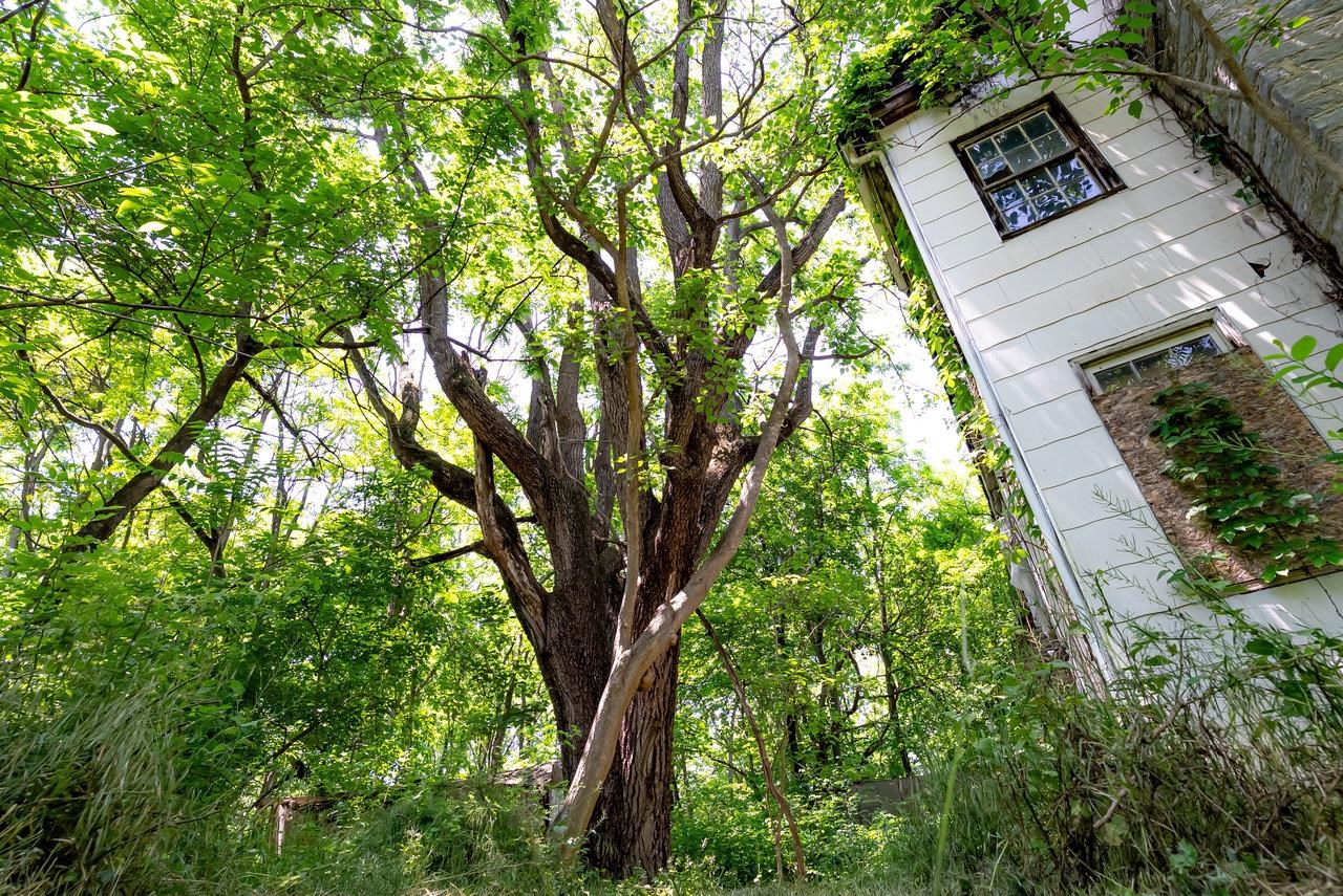 2410 MAUZY ATHLONE RD