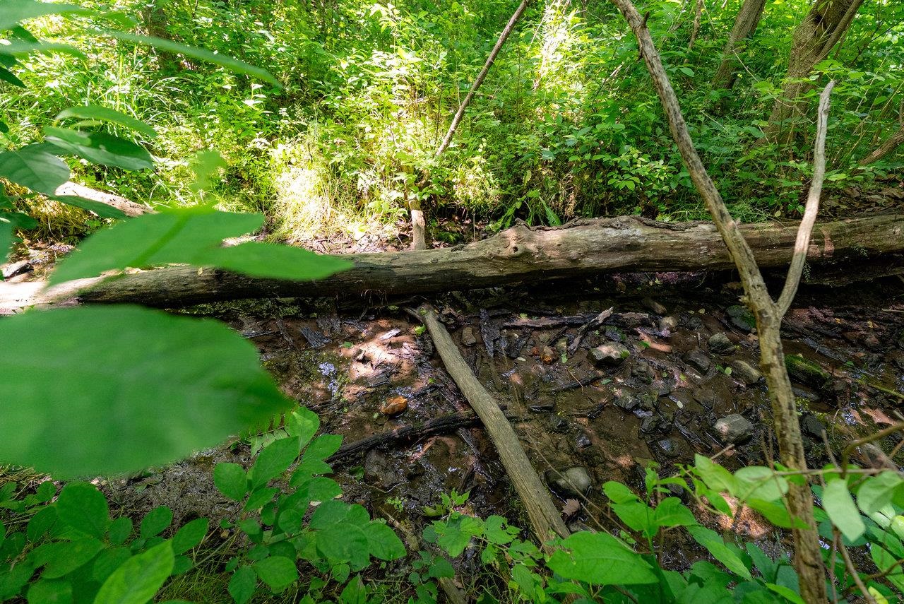 2410 MAUZY ATHLONE RD