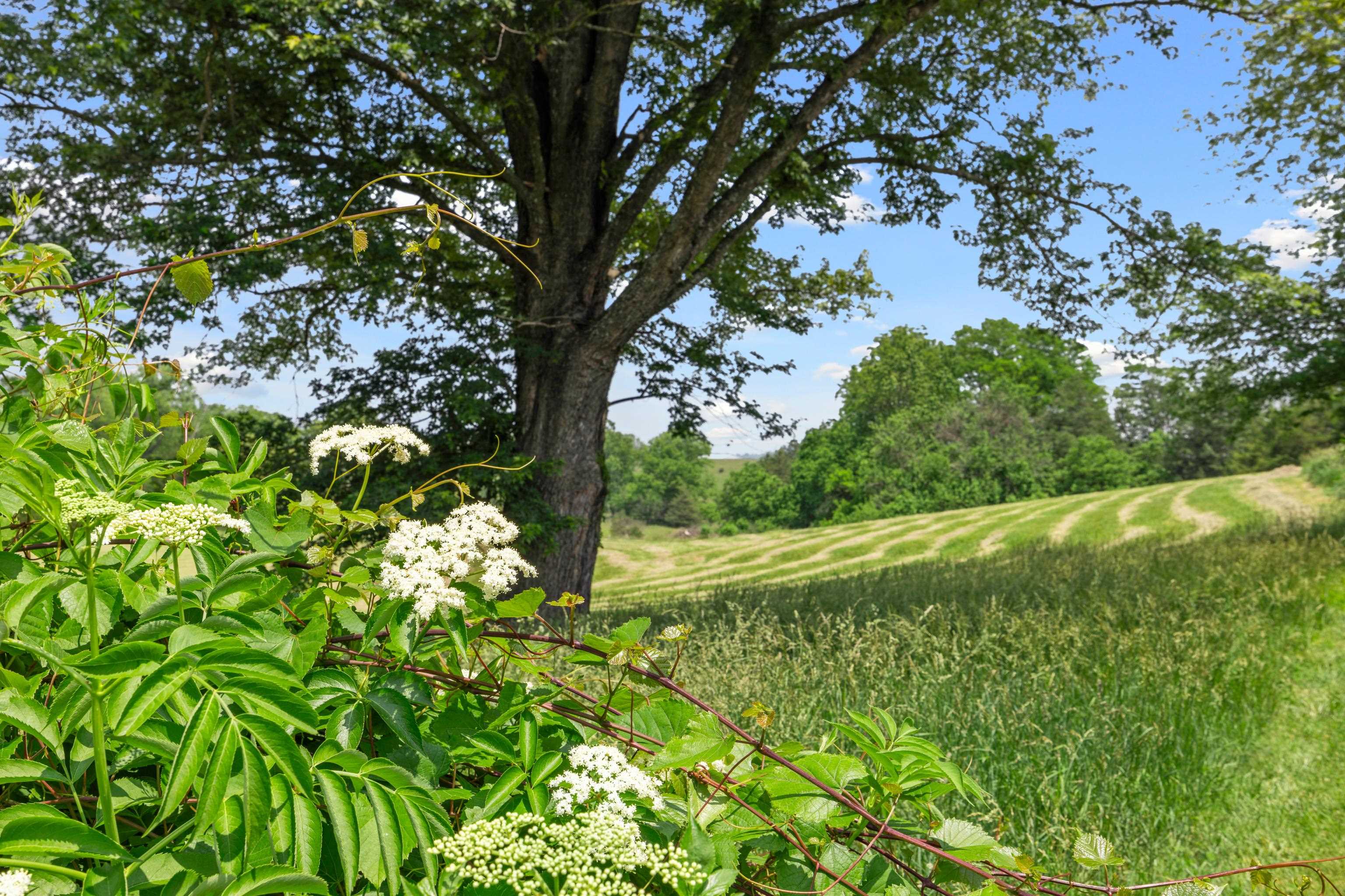 887 NATURAL CHIMNEYS RD