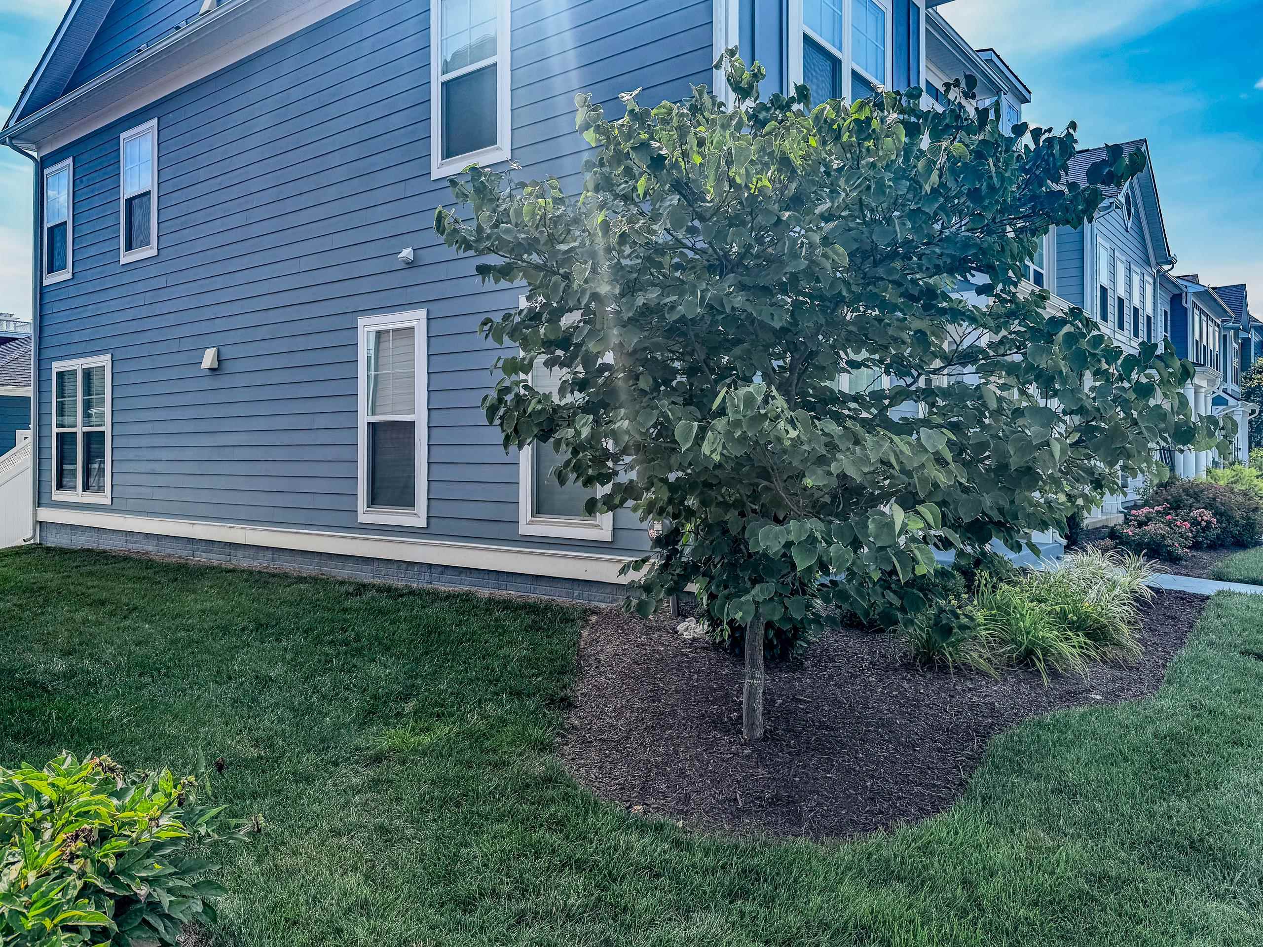 3406 CHARLESTON BLVD