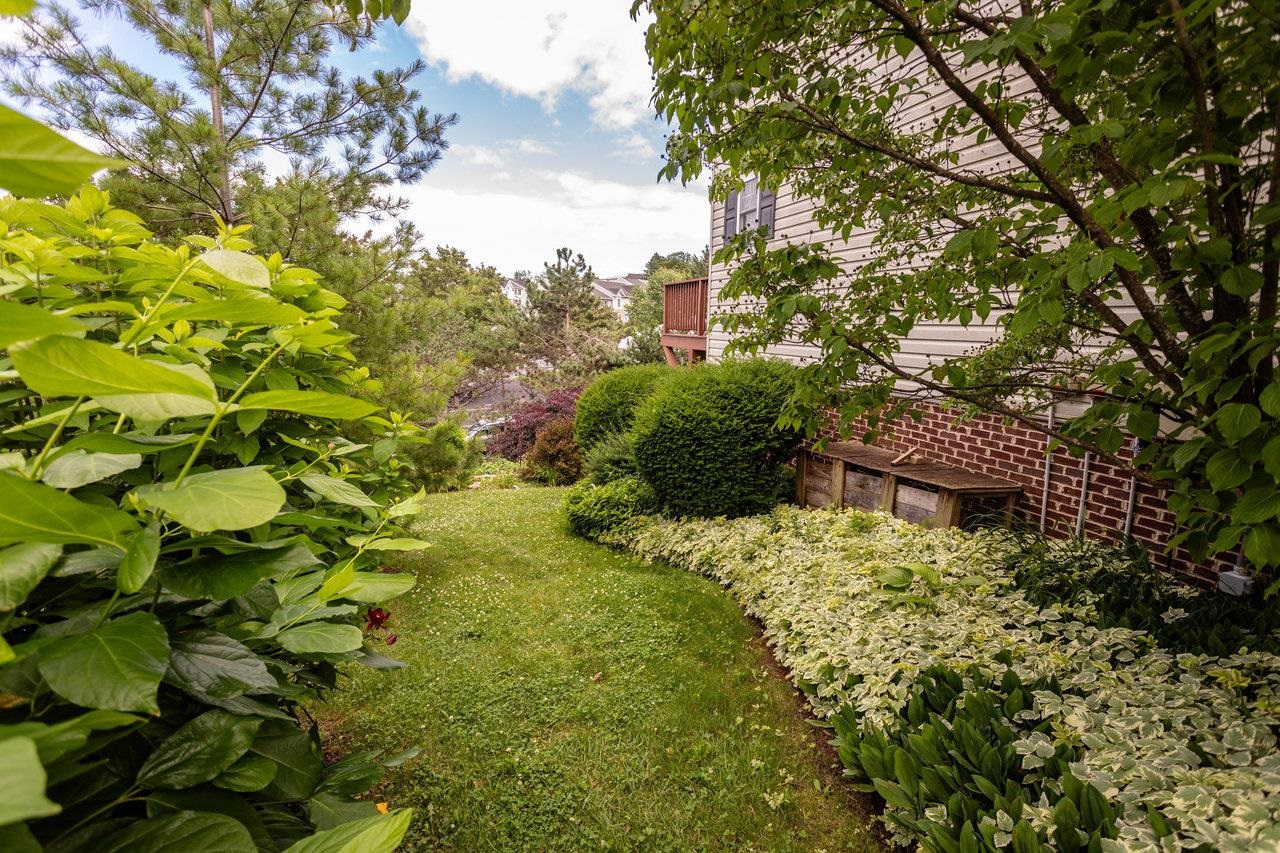 1966 BUTTONWOOD CT