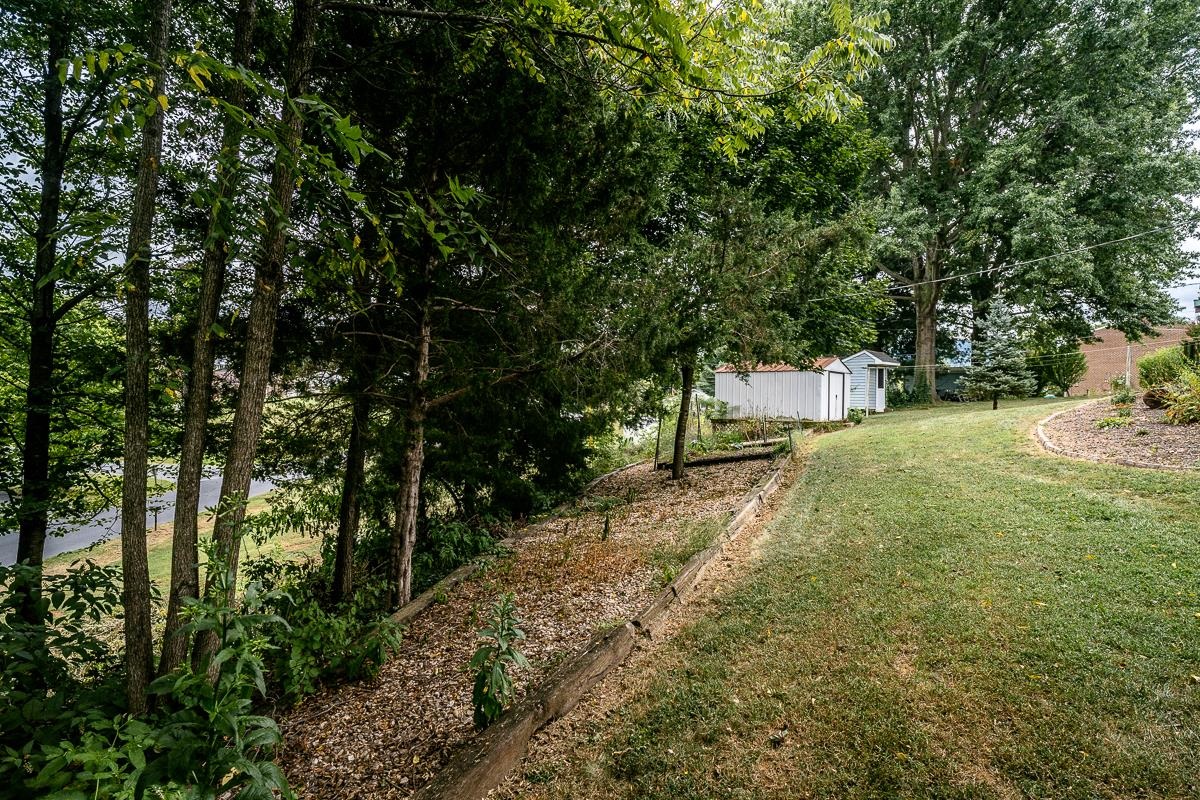 118 LUCAS LN