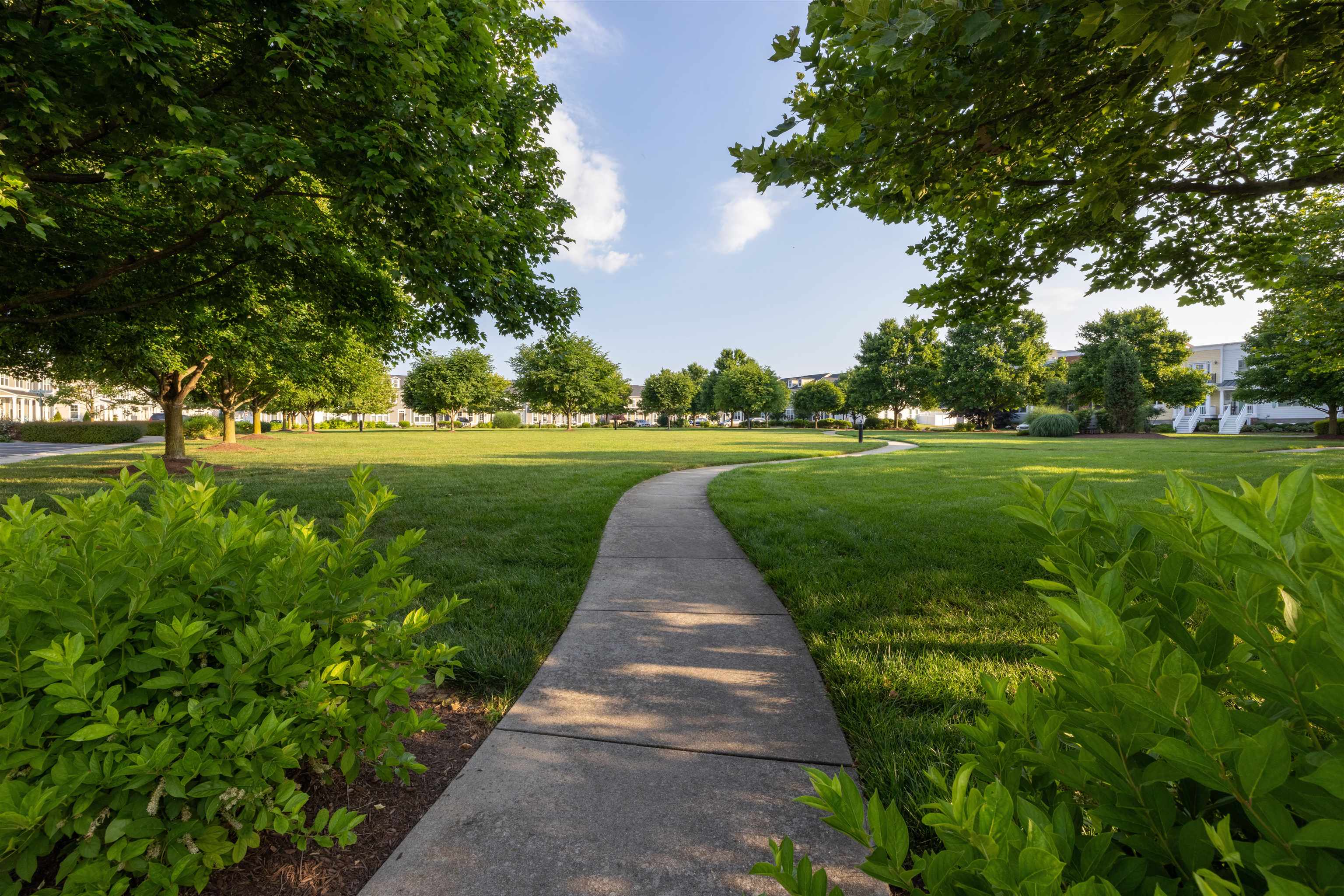 3452 CREPE MYRTLE DR