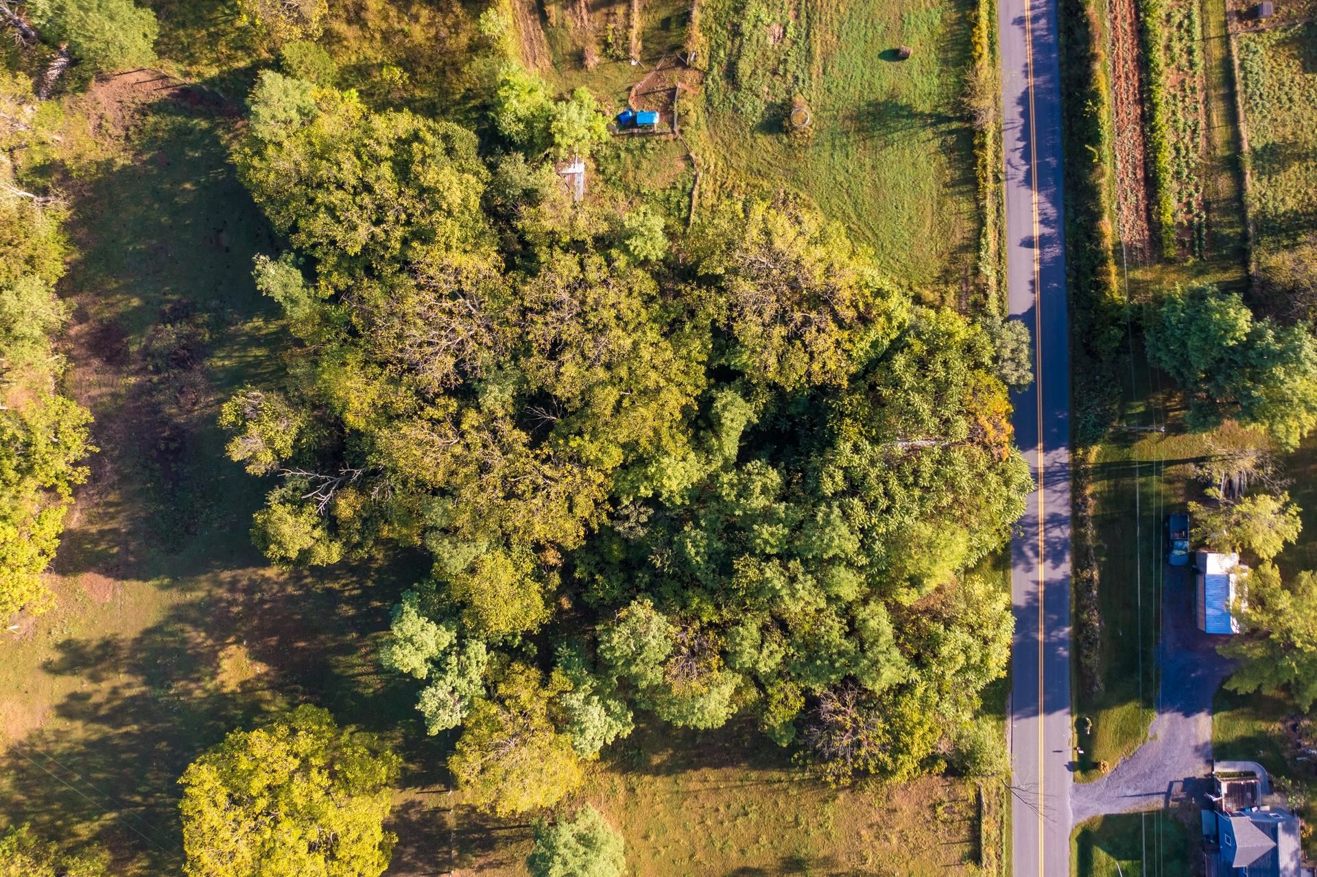 15141 NORTH MOUNTAIN RD