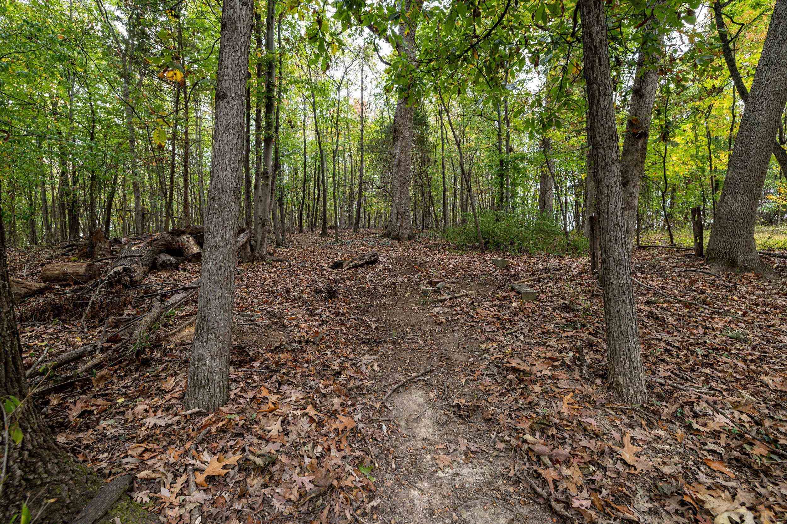 1167 WESTMORELAND DR