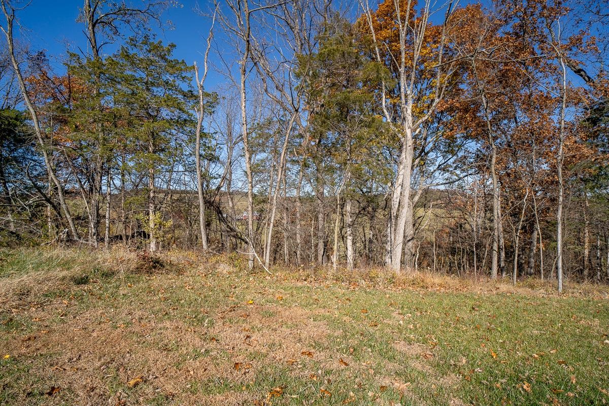 TBD W ROMAN RIDGE RD