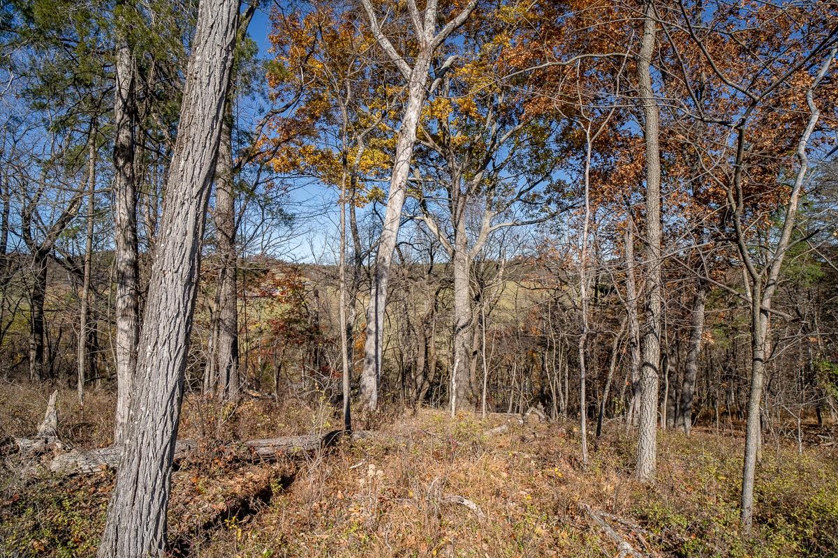 TBD W ROMAN RIDGE RD
