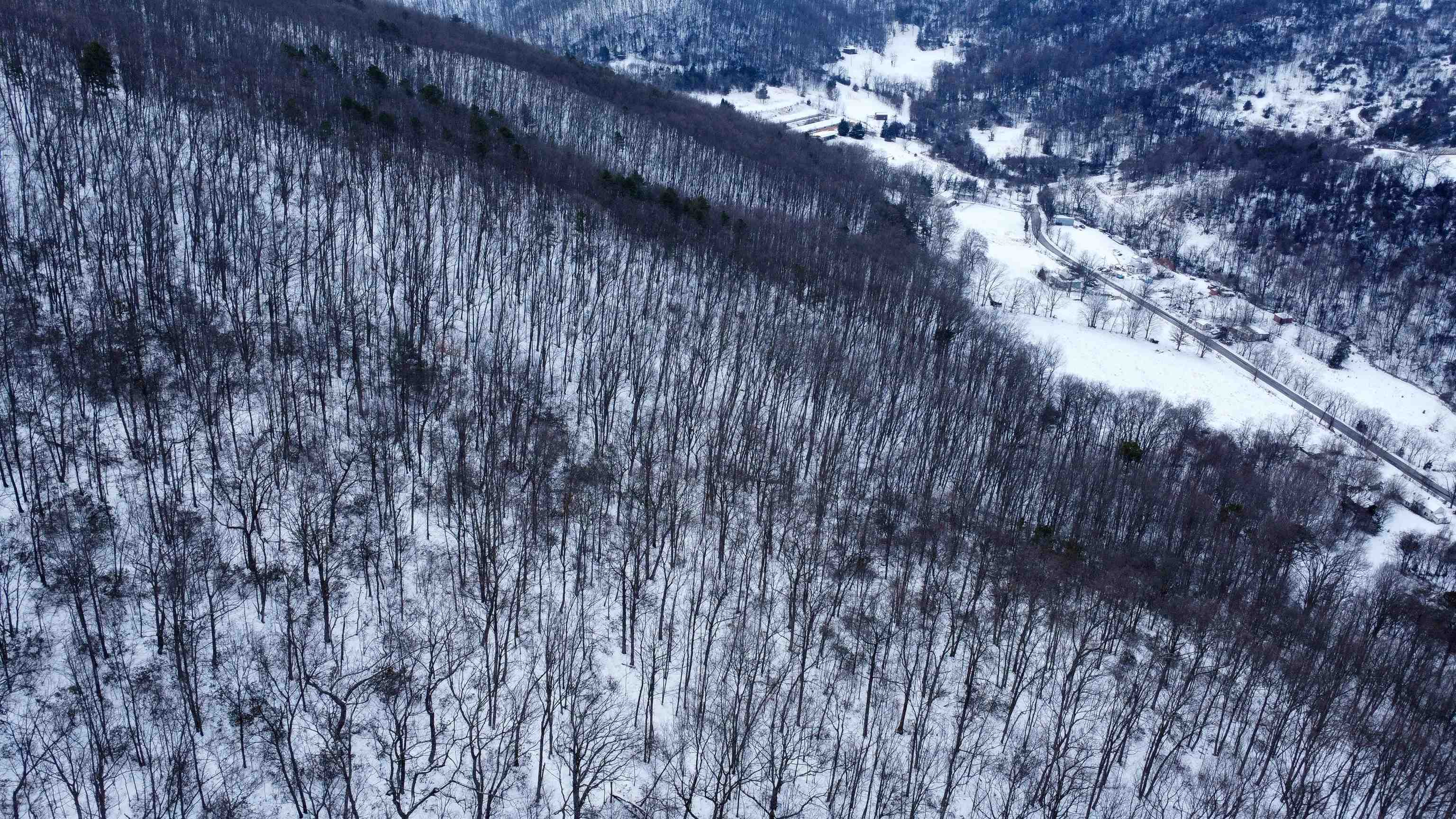 TBD CUBBAGE HOLLOW RD