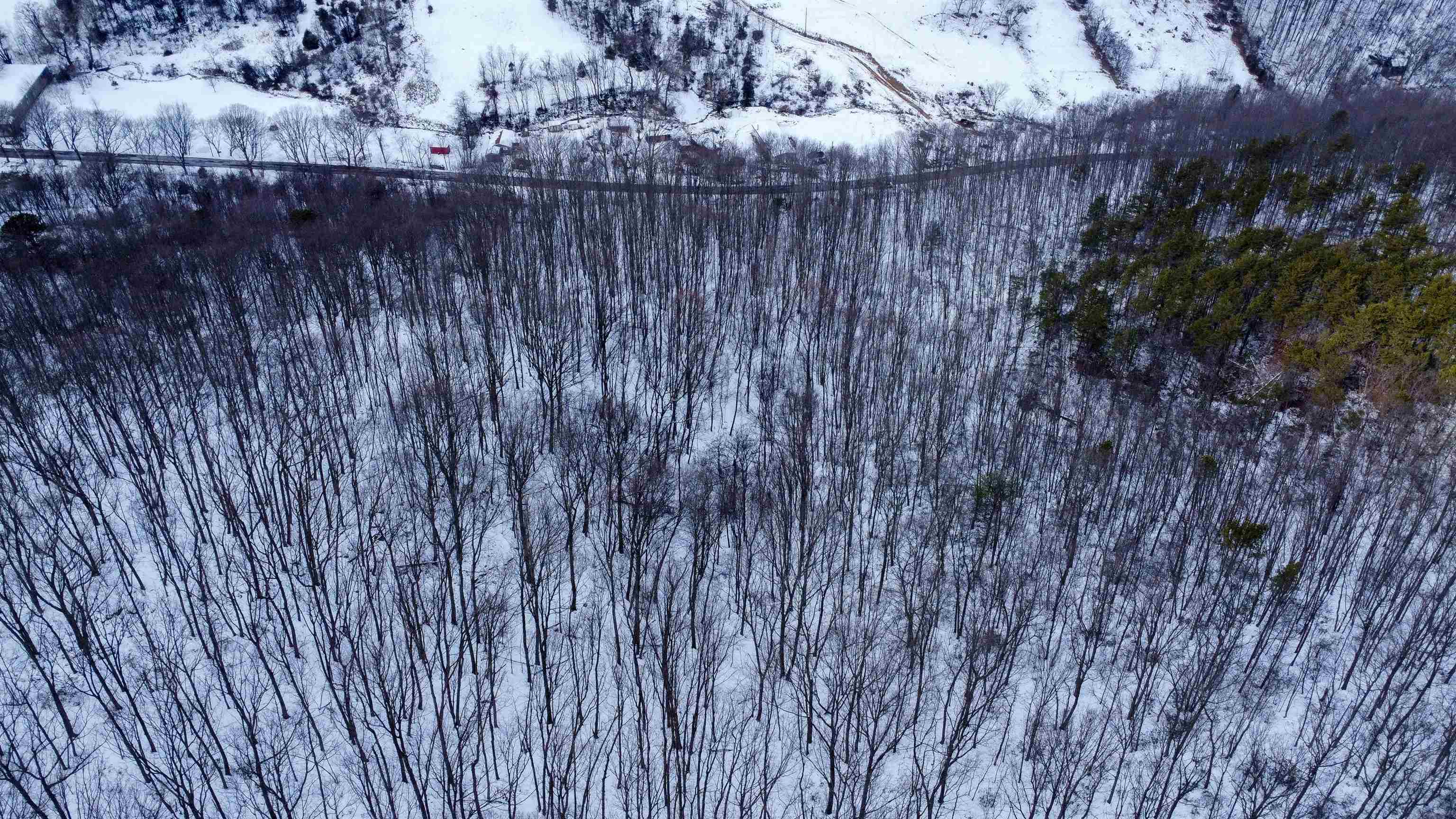 TBD CUBBAGE HOLLOW RD