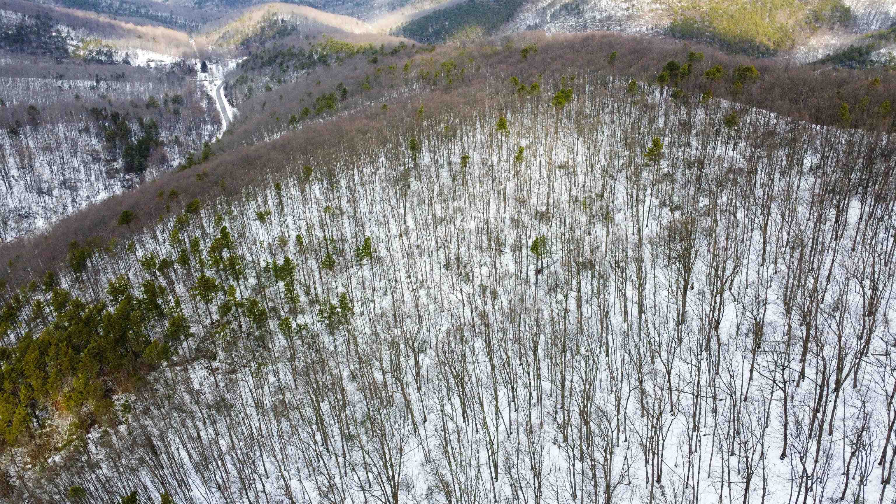 TBD CUBBAGE HOLLOW RD