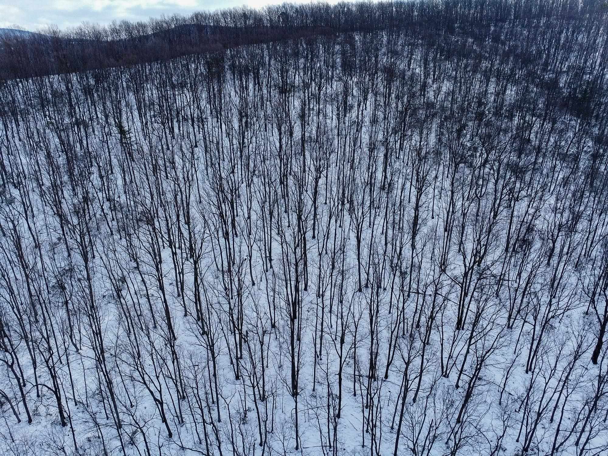 TBD CUBBAGE HOLLOW RD