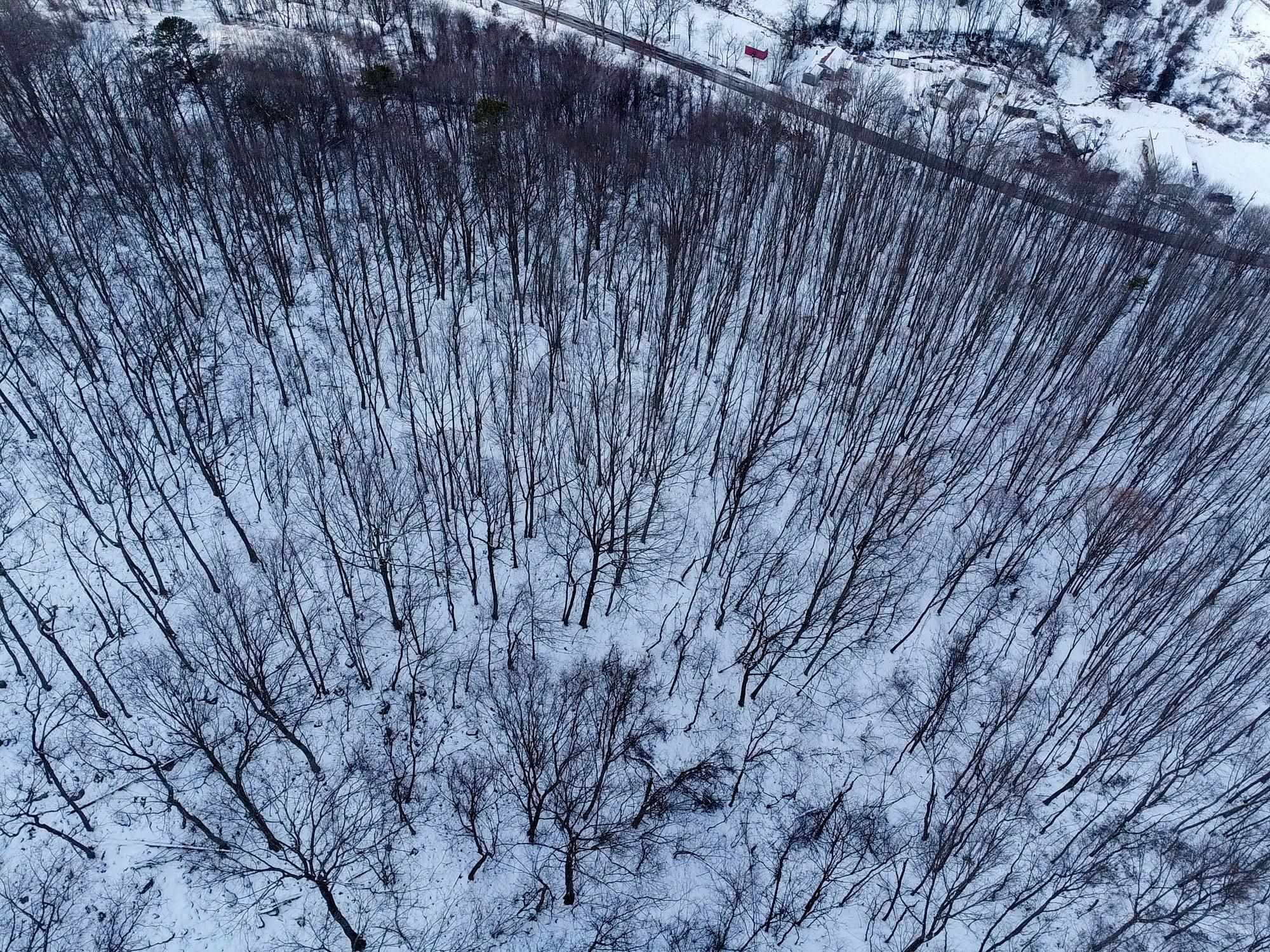 TBD CUBBAGE HOLLOW RD