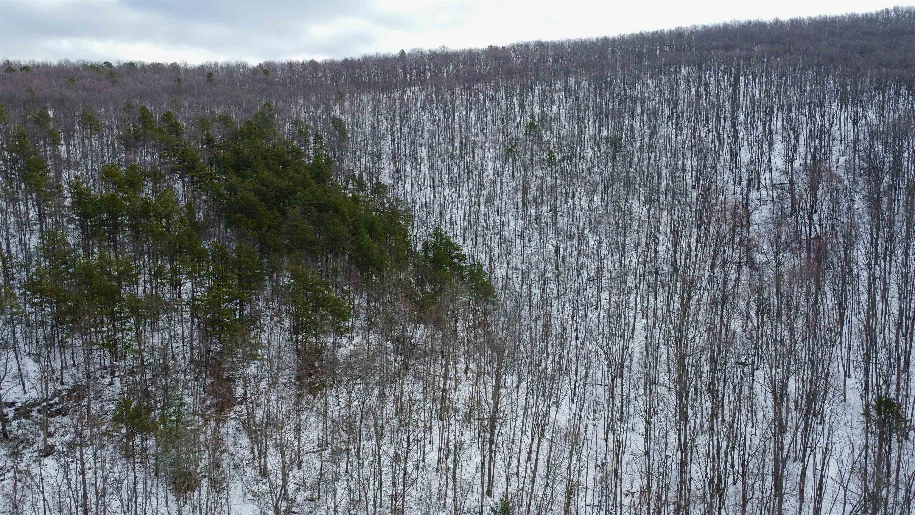 TBD CUBBAGE HOLLOW RD