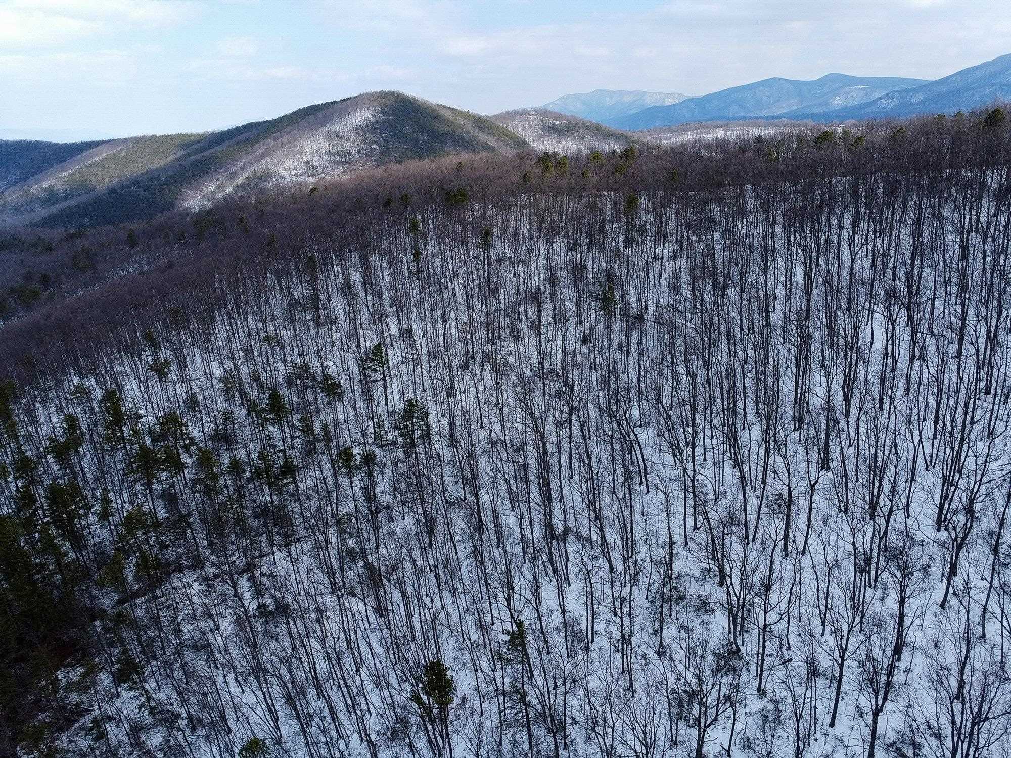 TBD CUBBAGE HOLLOW RD