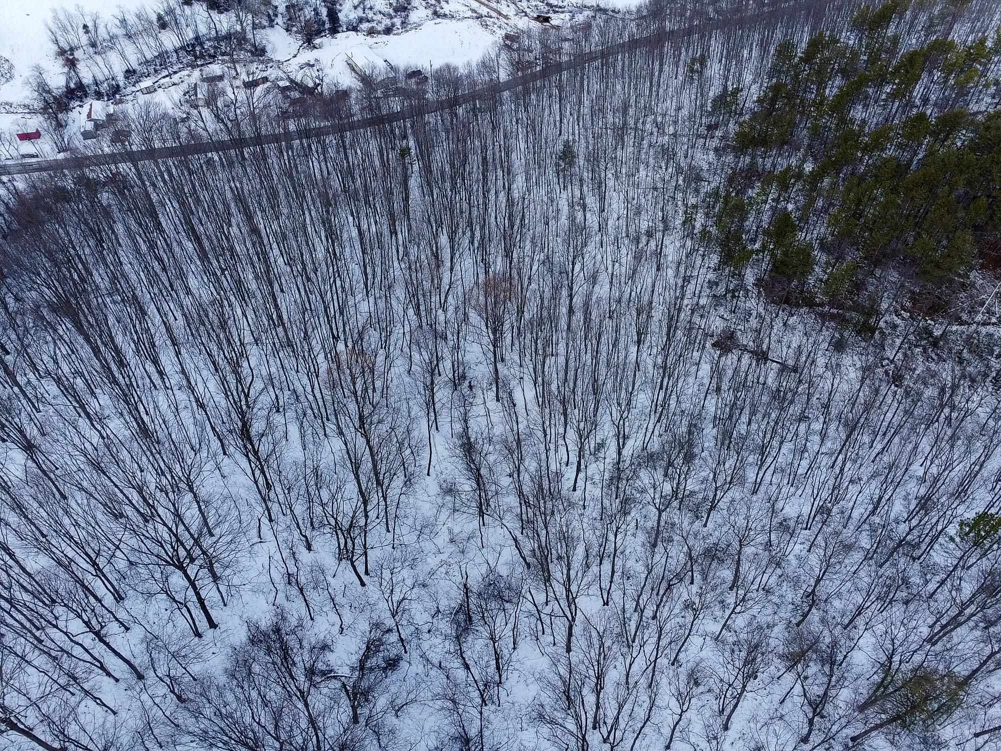 TBD CUBBAGE HOLLOW RD