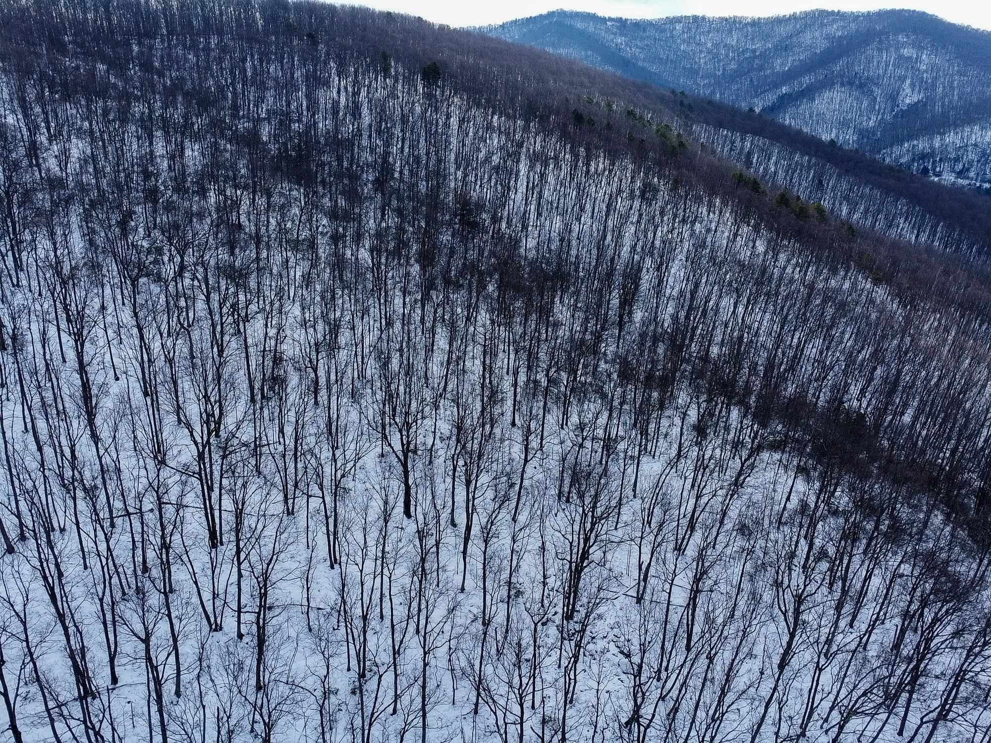 TBD CUBBAGE HOLLOW RD