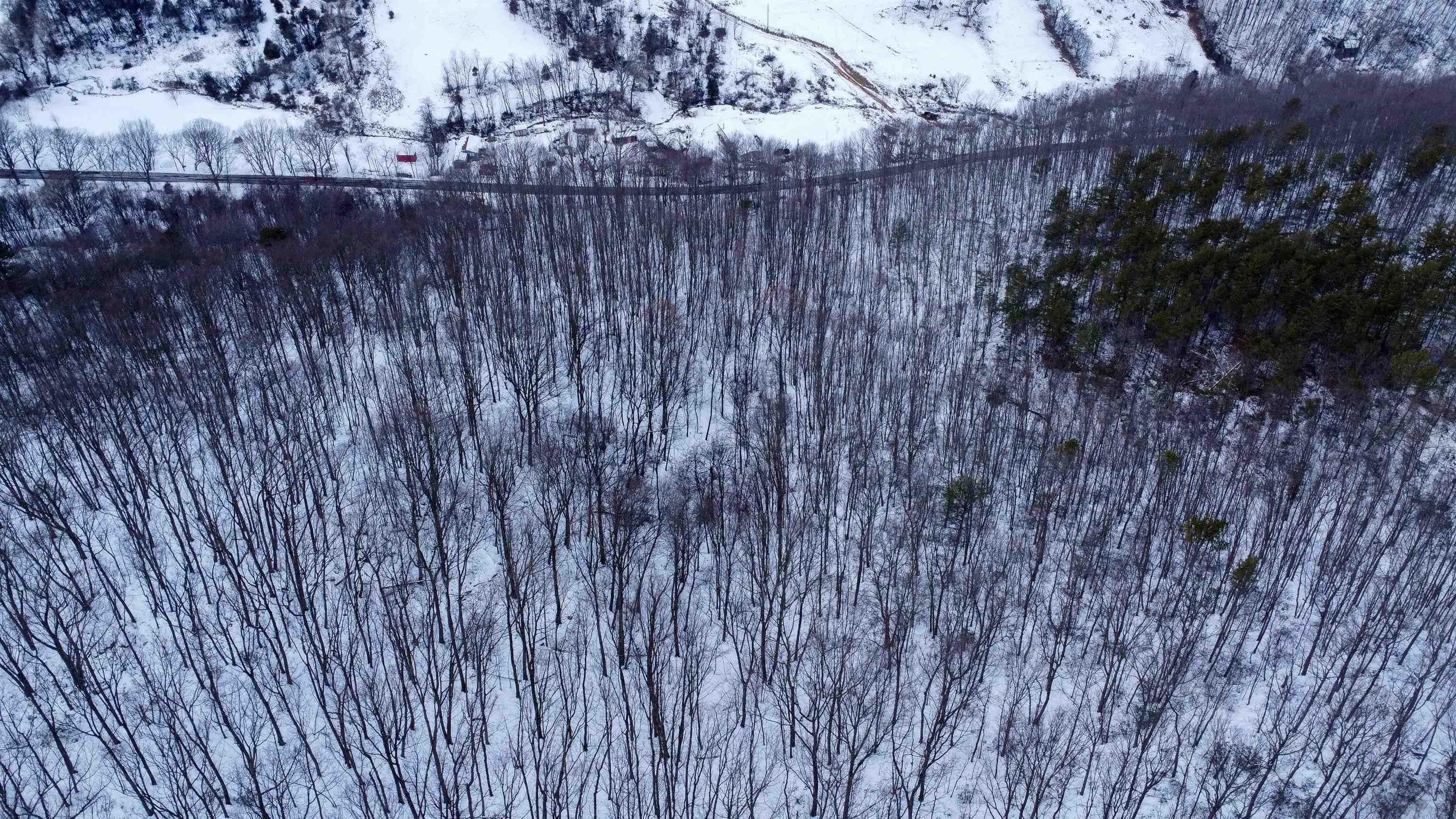 TBD CUBBAGE HOLLOW RD