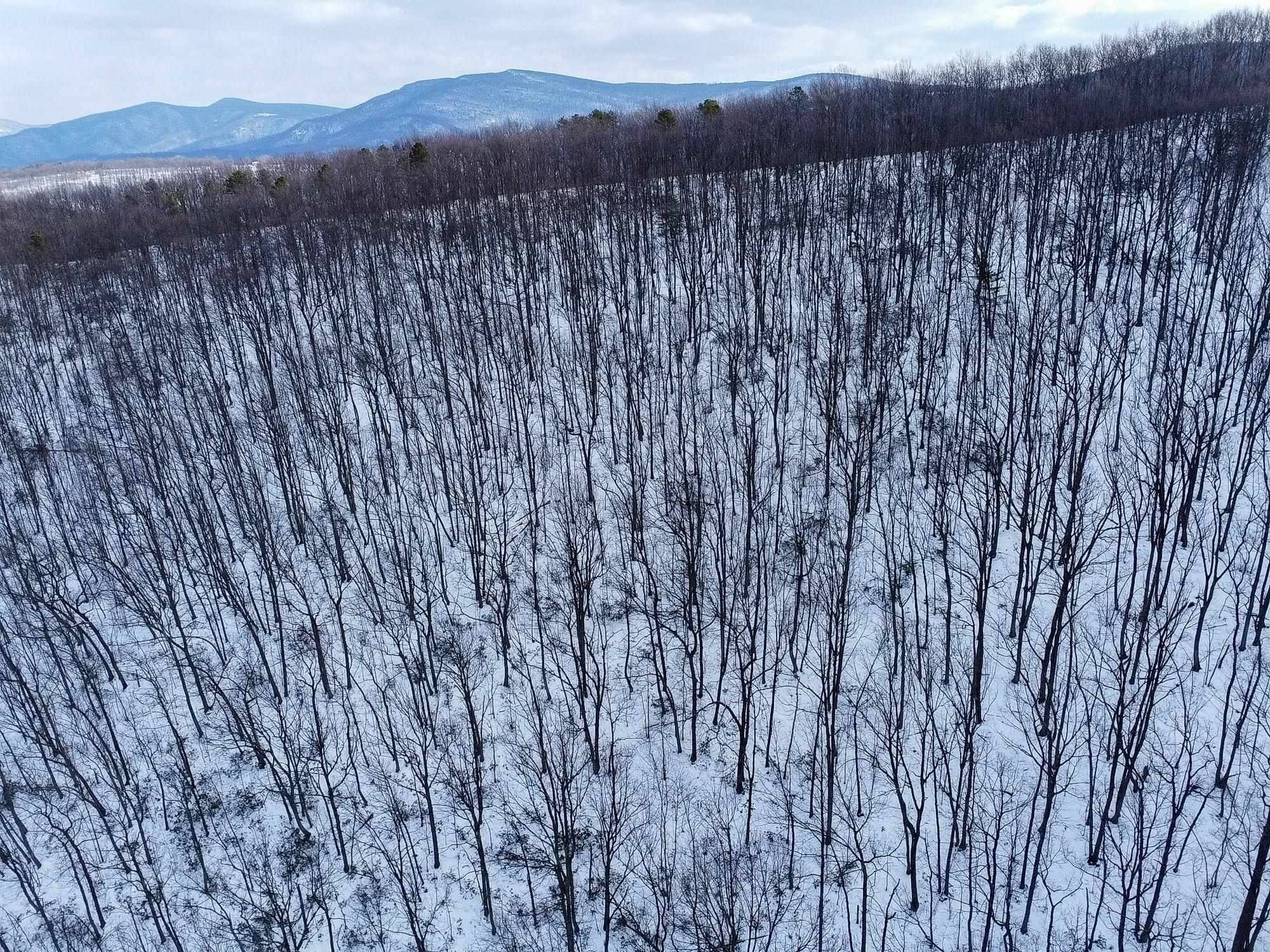 TBD CUBBAGE HOLLOW RD