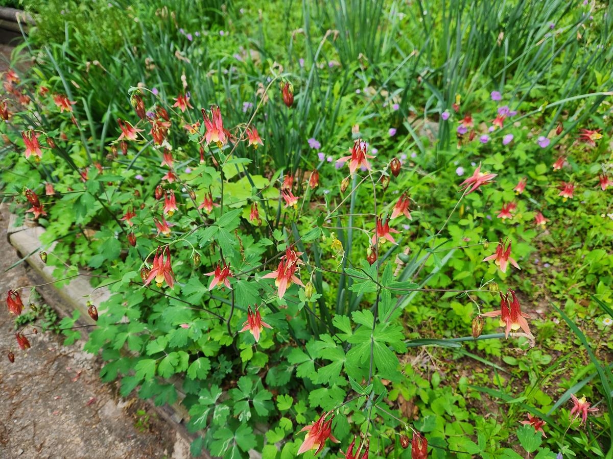 188 NEW MARKET RESERVOIR RD