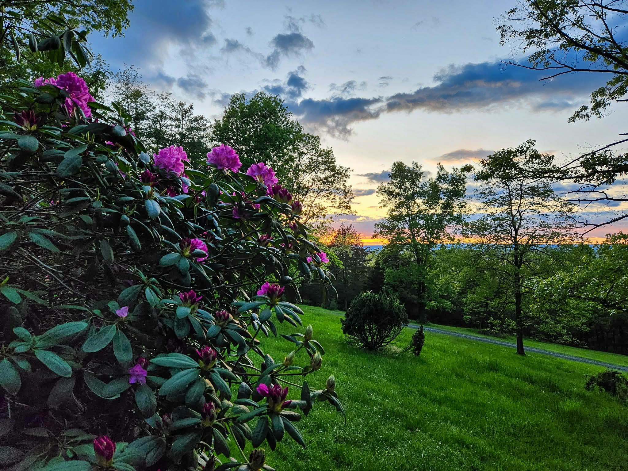 188 NEW MARKET RESERVOIR RD