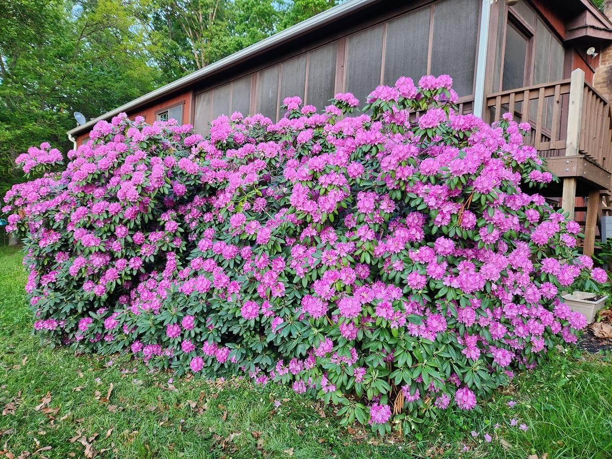 188 NEW MARKET RESERVOIR RD