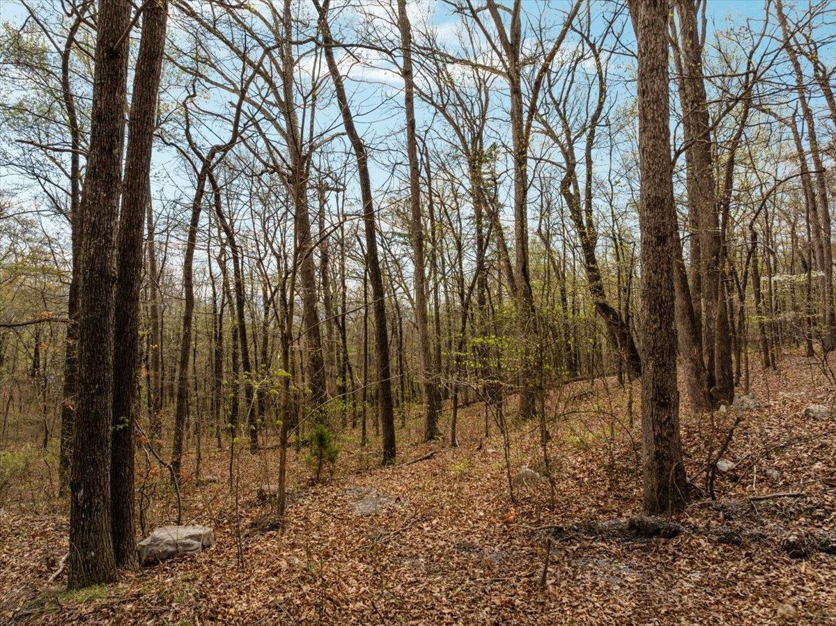 Lot 21 MOCKINGBIRD LN