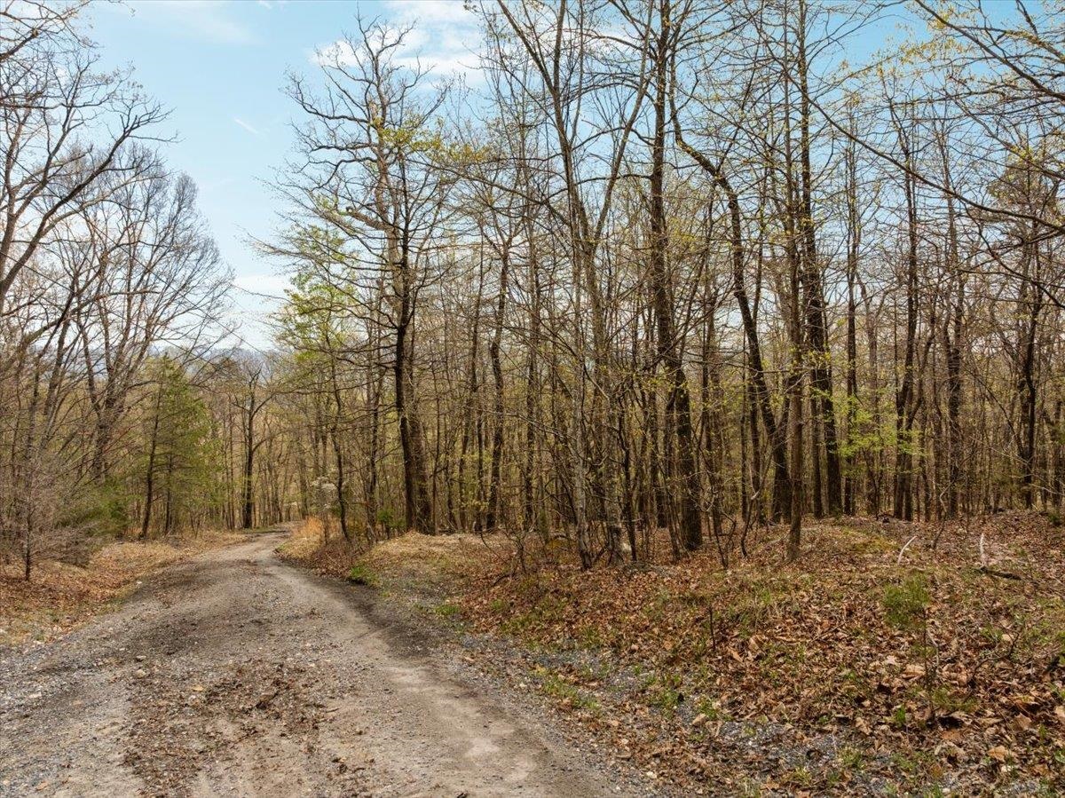 Lot 21 MOCKINGBIRD LN
