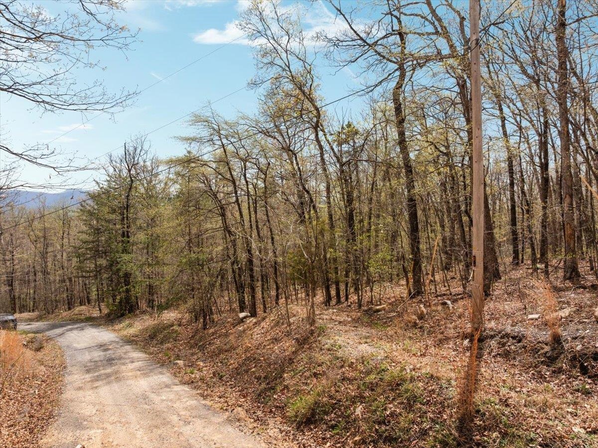 Lot 21 MOCKINGBIRD LN