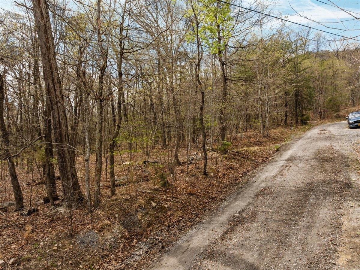 Lot 21 MOCKINGBIRD LN