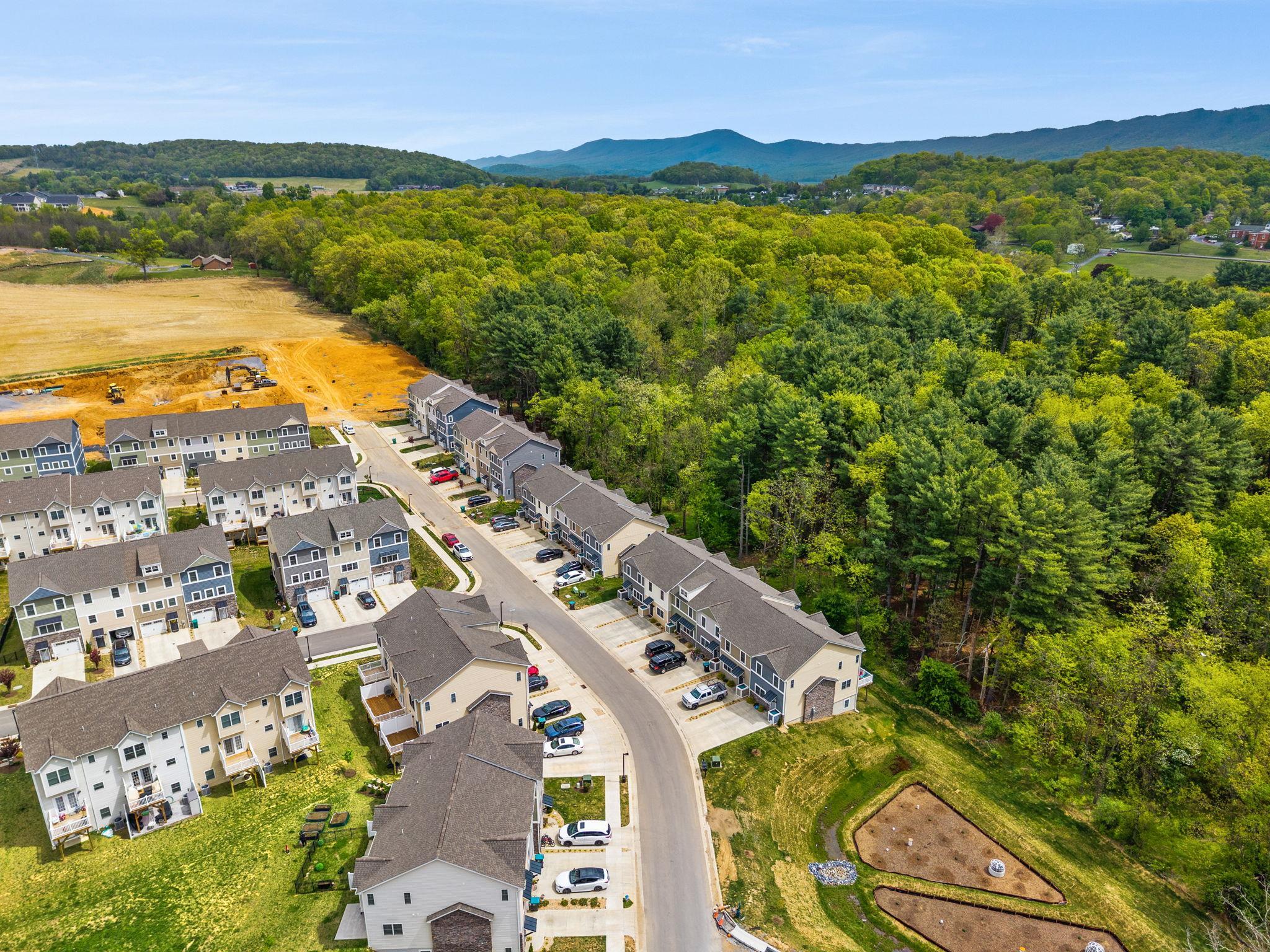 1553 PALOMINO TRL