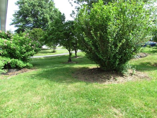 922 TALIAFERRO DR