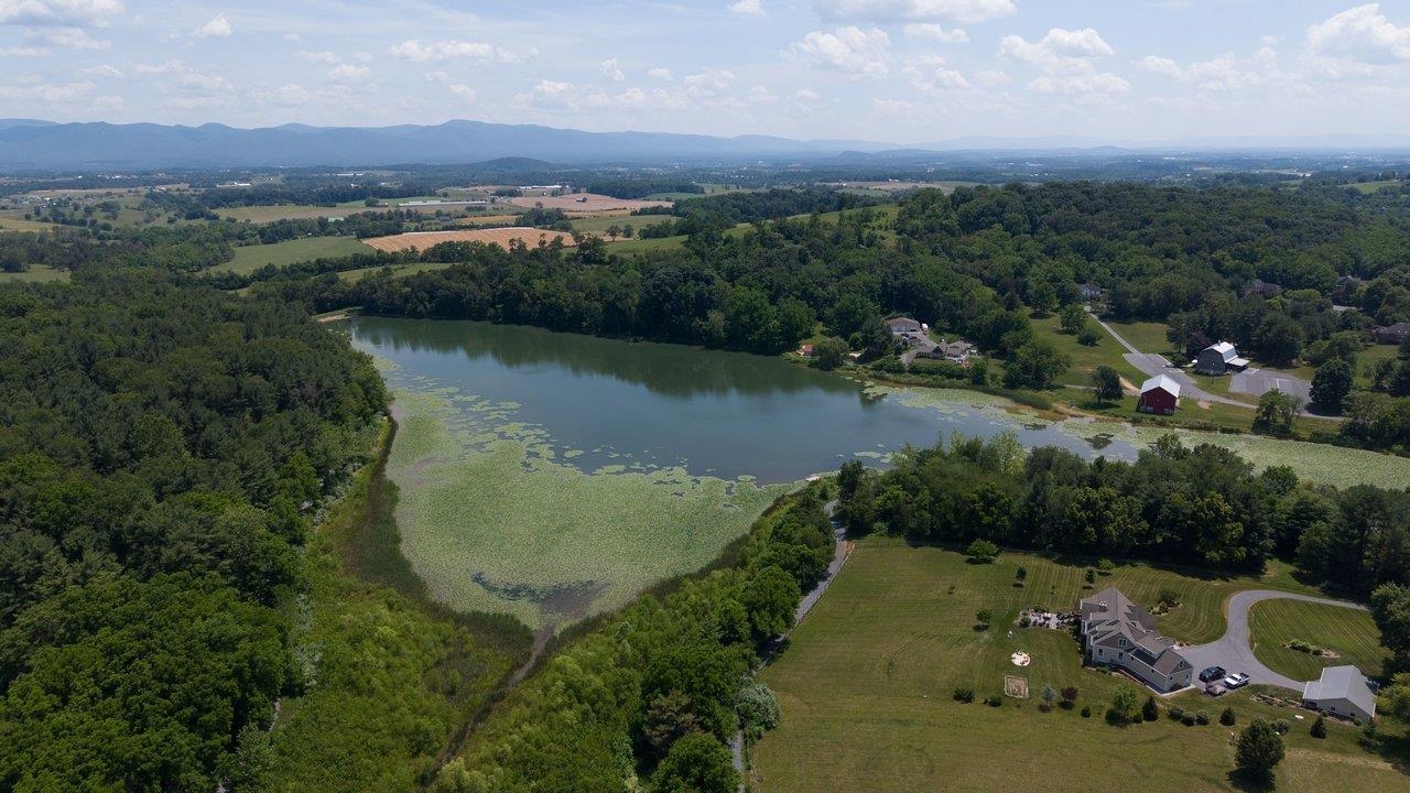 1665 MASSANETTA SPRINGS RD
