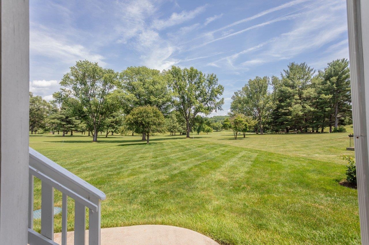 1665 MASSANETTA SPRINGS RD