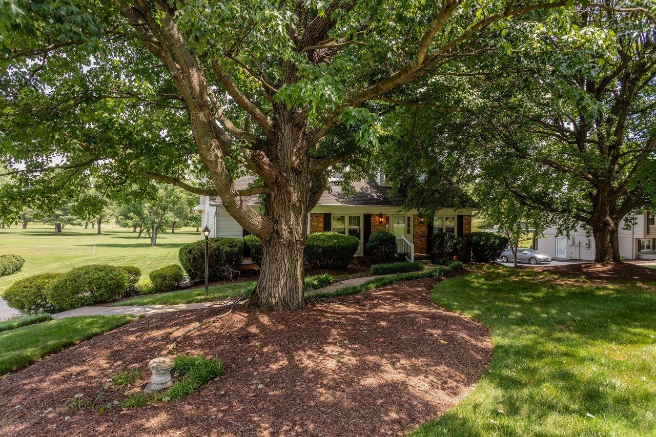 1665 MASSANETTA SPRINGS RD