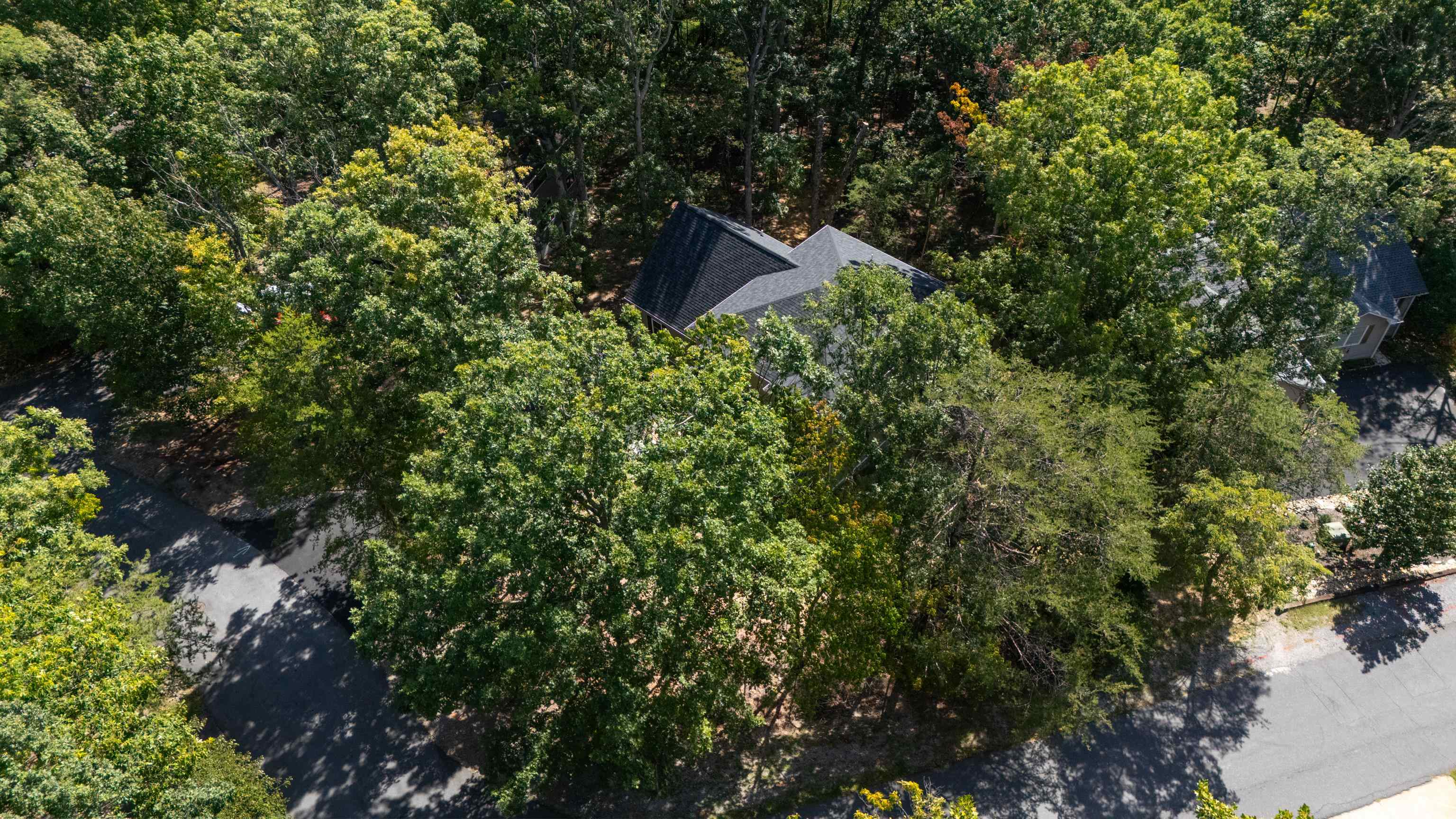 262 ELK LN