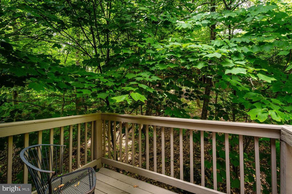 188 SHAMOKIN SPRINGS TRL