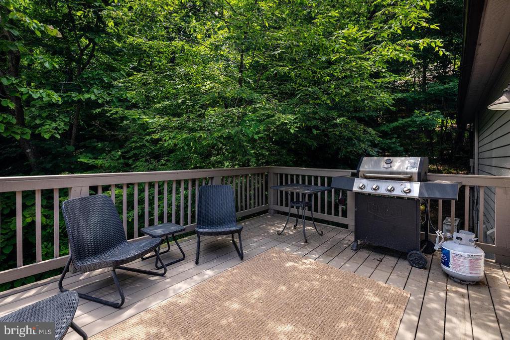 188 SHAMOKIN SPRINGS TRL