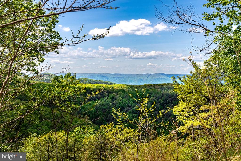 1 CUBBAGE HOLLOW ROAD