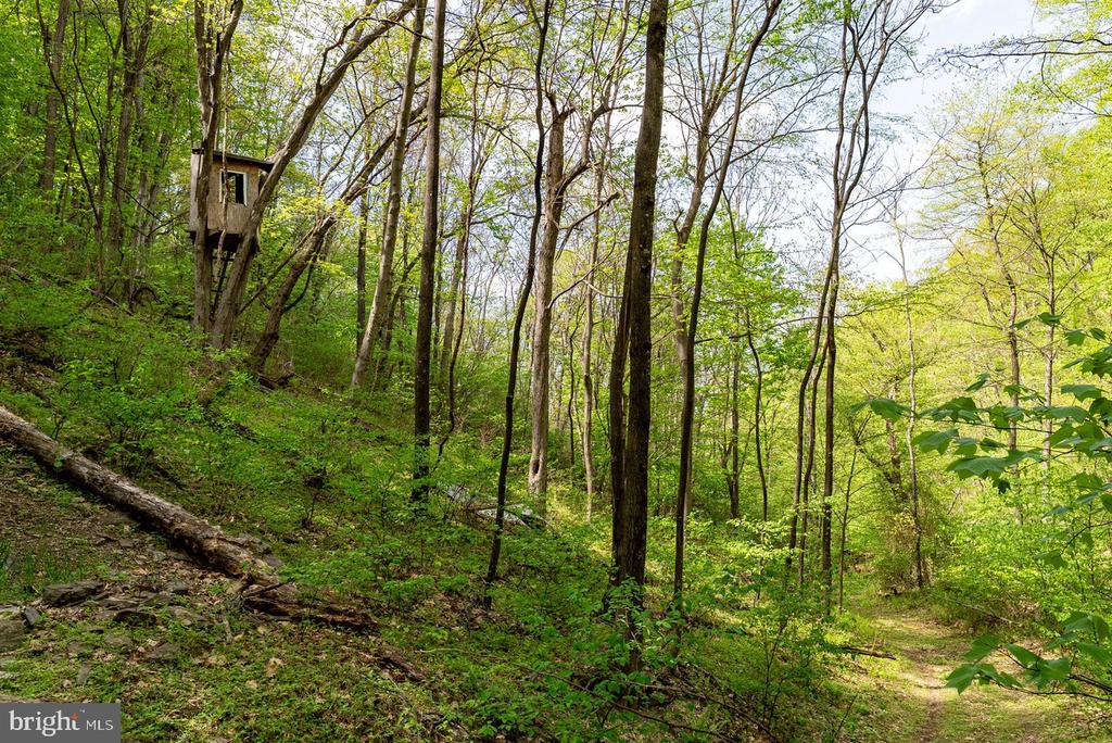 1 CUBBAGE HOLLOW ROAD