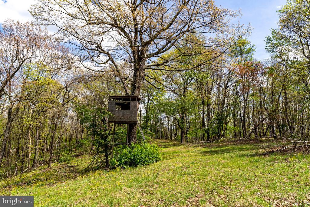 1 CUBBAGE HOLLOW ROAD