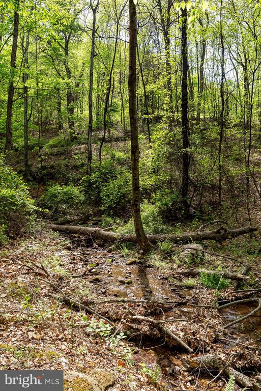 1 CUBBAGE HOLLOW ROAD