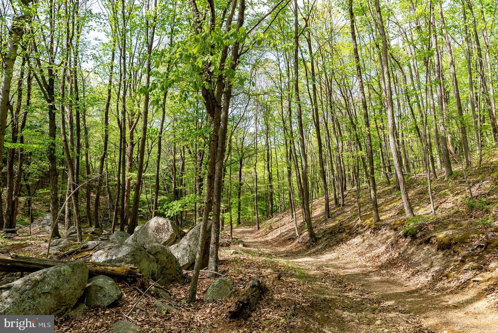 1 CUBBAGE HOLLOW ROAD